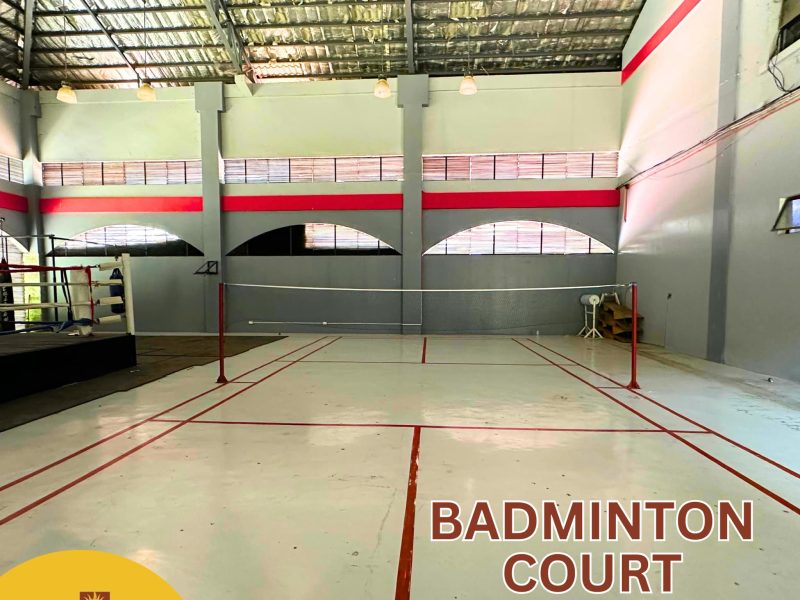 Xevera Mabalacat Townhouse Royale Model